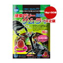 昆虫ゼリー サムライ BIG48 16g×50個入×2袋 マルカン ▼a ペット フード 昆虫 カブト虫 クワガタ虫 黒糖風味 トレハロース F-140
