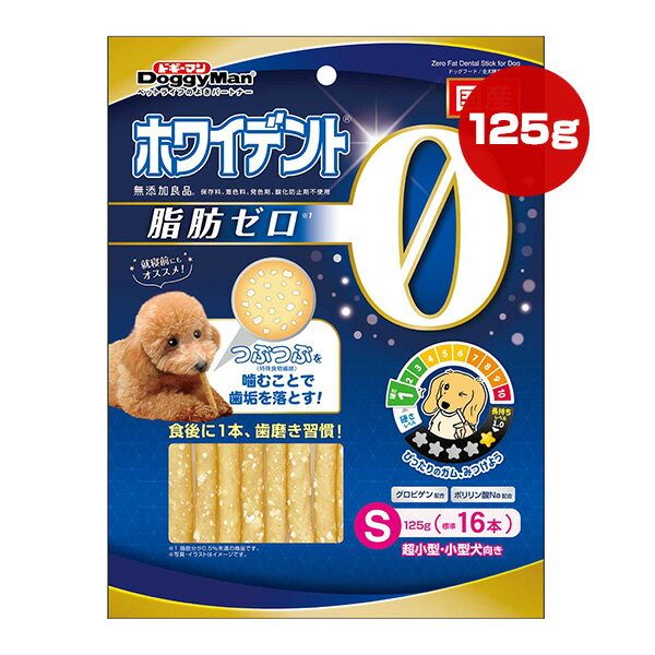 小型犬