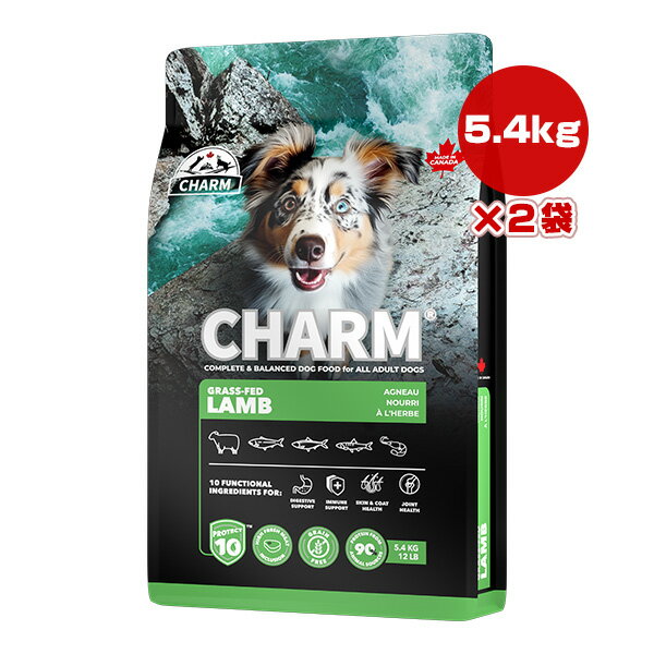 樂天商城 - チャーム プロテクトテン グラス フェッド ラム ドッグ 5.4kg×2袋 ▽t ペット フード 犬 ドッグ CHARM PROTECT10 CHGLD054 送料無料