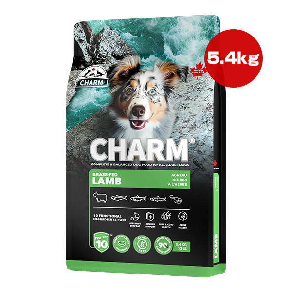 チャーム プロテクトテン グラス フェッド ラム ドッグ 5.4kg ▽t ペット フード 犬 ドッグ CHARM PROTECT10 CHGLD054 送料無料