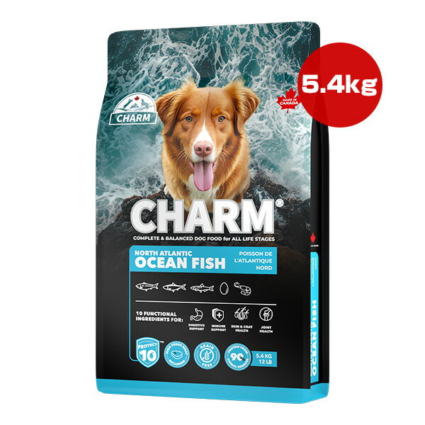【送料無料・同梱可】 新鮮サーモンをはじめ、栄養と美味しさを追求し、魚と機能性原材料を豊富に使用したレシピを作りあげました。 ●原材料 新鮮サーモン(18％)、ニシンミール(10％)、ゴマサバミール(8％)、ヒヨコ豆、丸ごとグリーンピース、丸ごとイエローピース、酵母、全卵(6％)、キャノーラ油、ココナッツ油、天然香料、リンゴ繊維、サツマイモ、ナンキョクオキアミ(1％)、ニシン油(1％)、ブルーベリー、クランベリー、アスパラガス、アーティチョークハート、グリーンキウイフルーツ、ホウレン草、卵殻膜、コラーゲンペプチド、アスコフィラム・ノドサム、パイナップル、霊芝、カワラタケ、カバノアナタケ、ターメリックルート、チコリルートエキス、ケルプ、グルコサミン塩酸塩、コンドロイチン硫酸、スピルリナ、ローズマリーエキス添加栄養素：リン酸二カルシウム、塩化ナトリウム、炭酸カルシウム、タウリン、塩化コリン、硫酸第一鉄、酸化亜鉛、ビタミンEサプリメント、硫酸銅、セレン、ビタミンB12サプリメント、葉酸、ナイアシン、ビタミンAサプリメント、パントテン酸カルシウム、酸化マンガン、リボフラビン、ビオチン、ピリドキシン塩酸塩、チアミン硝酸塩、ビタミンD3サプリメント、ヨウ素酸カルシウム、天然ミックストコフェロール ●成分 粗たんぱく質34％以上、粗脂肪16％以上、粗繊維4.0％以下、粗灰分9.5％以下、水分10％以下 ●保証成分 オメガ3脂肪酸1.0％、オメガ6脂肪酸3.0％、オメガ3/オメガ6比1：3、EPA0.09％、DHA0.15％、カルシウム(以上)1.2％、リン(以上)1.0％、グルコサミン塩酸塩300mg/kg、コンドロイチン硫酸300mg/kg、炭水化物(以下)26.5％ ●代謝エネルギー 3790kcaL/kg ●給与量 犬の体重：活発：通常・シニア犬 1〜5kg：35〜104g：35〜92g 5〜10kg：104〜174g：92〜156g 10〜15kg：174〜231g：156〜231g 15〜20kg：231〜278g：231〜278g 20〜25kg：278〜324g：278〜313g 25〜30kg：324〜370g：313〜324g 30〜40kg：370〜463g：324〜452g 40〜50kg：463〜556g：452〜487g 50〜60kg：556〜626g：487〜598g 60〜70kg：626〜712g：598〜678g ●与え方 それぞれのペットの年齢、犬種、環境、運動量によって、ペットが必要とするフードの量はこの表とは異なる場合があります。 ペットの状態を観察し、必要に応じて調整してください。 1日に2回給餌し、ペットが新鮮できれいな水を常に飲めるようにしてください。 ●原産国 カナダ