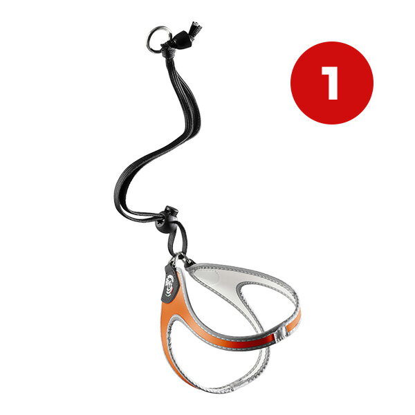 Harness Leash - リベルタ フルオ 1 オレンジ ▼g ペット グッズ 犬 ドッグ アクセサリー ハーネスリード 胴輪 引き紐 TRE PONTI LTP101 送料無料
