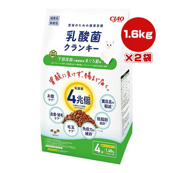 【同梱可】 ・お魚の旨味がたっぷり詰まった粒を猫ちゃんの好きな味のパウダーでコーティングしました。 ・6つの機能で健康マルチサポート！ ・胃酸に負けず腸まで届く乳酸菌4兆個配合でおなかの調子を整えます。 ・緑茶エキスが腸管内の内容物の臭いを吸着し、糞・尿臭を和らげます。 ・おいしさキープ！小分けパック ●原材料 穀類(とうもろこし、コーングルテンミール、小麦粉等)、肉類(ミートミール、チキンミール、ポークミール、チキンレバーパウダー)、でん粉類、油脂類、魚介類(フィッシュミール、フィッシュエキス(DHA・EPA含有)、フィッシュパウダー、まぐろ節パウダー)、豆類(乾燥おから等)、ビートパルプ、セルロース、ビール酵母、酵母細胞壁、殺菌乳酸菌、植物発酵抽出物、ビタミン類(A、D、E、K、B1、B2、ナイアシン、B6、葉酸、コリン)、ミネラル類(Ca、P、K、Cl、FE、Cu、Zn、I)、アミノ酸類(メチオニン、トリプトファン、タウリン)、pH調整剤、緑茶エキス ●保証成分 たんぱく質24.0％以上、脂質11.5％以上、粗繊維2.5％以下、灰分6.5％以下、水分10.0％以下 ●エネルギー 約390kcaL/100g ●給与方法 年齢、体重、体調、活動量、季節によって変わりますが、愛猫への1日の給与量っは商品記載の表を目安に調整してください。 ●保管方法 直射日光の当たる場所、湿気の多い場所を避け、風通しの良いところに保存し、開封後はなるべく早くお与えください。 ●原産国 日本 ●注意事項 この商品は猫の栄養バランスを満たしたフードです。 猫以外のペットや他の動物には与えないでください。
