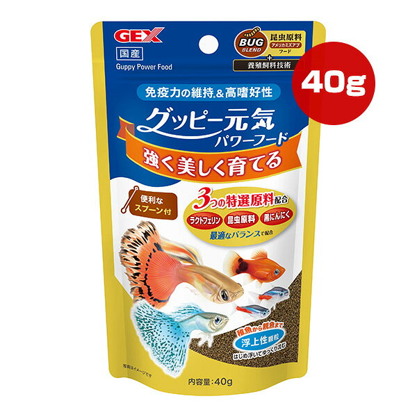 【同梱可】 ・グッピーを美しく強く育てる3つの特選原料を配合したパワーフードです。 ●ラクトフェリン配合で免疫力の維持 体表の粘液量を増やし健康を維持することにより、免疫力を維持します。 ●昆虫原料(アメリカミズアブ)＋熟成黒にんにく配合で高い嗜好性 良質なたんぱく源である昆虫原料(アメリカミズアブ)で、自然界の魚本来の食性に近づけ、更に熟成された黒にんにくの旨み成分で嗜好性の高いフードに仕上げました。 ●はじめは浮いてゆっくり沈む顆粒なので稚魚から親魚まで食べやすい ●便利なスプーン付 ●原材料 魚粉、オキアミミール、小麦粉、コーンスターチ、昆虫ミール、熟成黒にんにく、ラクトフェリン、レシチン、グアガム、ベタイン、ビタミン類(A、B、C、D3、E、K、ビオチン、イノシトール、葉酸、コリン)、ミネラル類(リン、鉄、マグネシウム、亜鉛、マンガン、銅、ヨウ素、コバルト、ナトリウム、カルシウム、カリウム、アルミニウム) ●保証成分 たんぱく質49.0％以上、脂質7.0％以上、粗繊維3.5％以下、灰分18.0％以下、水分10.0％以下 ●給与方法 ・1回5分以内に食べつくす量を1日に1〜2回与えてください。 ・水を汚しにくい製法のフードですが、与えすぎは水質を悪くしますのでご注意ください。 ●原産国 日本 ●注意事項 ・本製品は観賞魚専用です。他の目的には使用しないでください。 ・子供や認知症の方が誤って食べないように手の届かない場所に置いてください。 ・子供が観賞魚にフードを与えるときは、大人の監視のもとで行ってください。 ・開封後はチャックをしっかり閉め、冷暗所に保存し、賞味期限にかかわらずできるだけ早くお使いください。 ※天然原料を使用しておりますので、フードの色・サイズが変わることがございますが品質に問題はございません。 ※製品の仕様・デザイン・価格など予告なく変更することがあります。