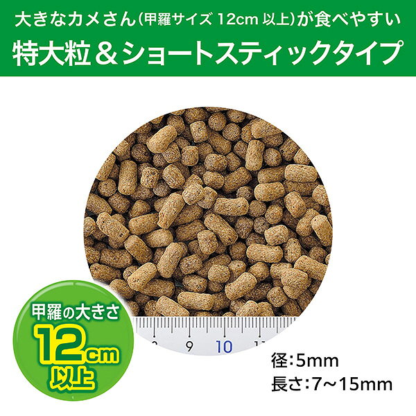 カメ元気 毎日の主食 ごちそうごはん 特大粒 500g ジェックス ▼a ペット フード 亀...