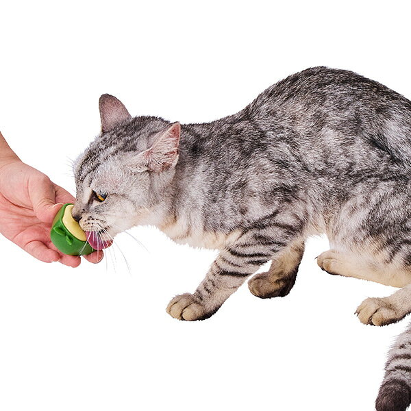 ぺろぺろキャットニップTOY アボカド ペティオ ▼a ペット グッズ 猫 キャット おも...