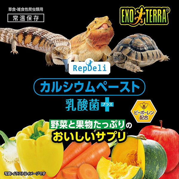 RepDeli カルシウムペースト 乳酸菌プラス 2.5g×10本 ジェックス ▼a ペット フード...