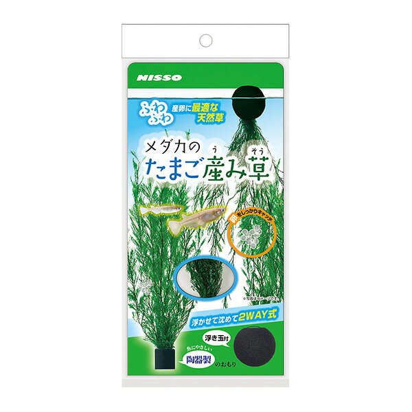 メダカのたまご産み草 マルカン ▼a ペット グッズ 観賞魚 天然草 浮かせて沈めて2WAY式 NISSO NAP-590