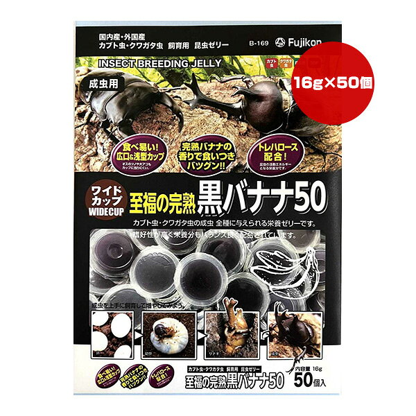 【同梱可】 ・国内産・外国産カブト虫・クワガタ虫の成虫全種に与えられる栄養ゼリーです。 ・完熟バナナの香りで食いつき抜群！嗜好性が高く栄養分もバランス良く配合されています。 ・昆虫の活動エネルギーとなる栄養成分トレハロース配合！ ・オスのツノや大アゴもカップに当たりにくい！広口＆浅型カップ ●原材料 ブドウ糖果糖液糖、砂糖、ゲル化剤、pH調整剤、酸味料、香料、着色料、トレハロース