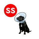 エリザベスカラー VETカラー SS ファンタジーワールド▼a ペット ドッグ グッズ