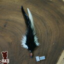 ☆REPLUS Panash パナシュ ダイドコック ブラック リプラス ▽b ペット グッズ 犬 ドッグ ファッション アクセサリー