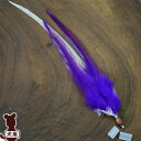 ☆REPLUS Panash パナシュ ダイドコック パープル リプラス ▽b ペット グッズ 犬 ドッグ ファッション アクセサリー