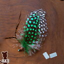 ☆REPLUS Panash パナシュ ホロホロ ナチュラルグリーン リプラス ▽b ペット グッズ 犬 ドッグ ファッション アクセサリー