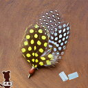 ☆REPLUS Panash パナシュ ホロホロ ナチュラルイエロー リプラス ▽b ペット グッズ 犬 ドッグ ファッション アクセサリー