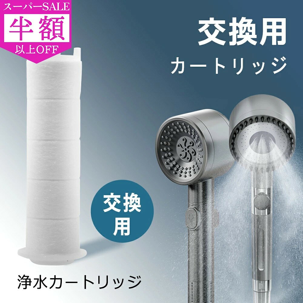 SS特価★2500→885円★シャワーヘッド用 フィルター 2本セット 交換カートリッジ 塩素除去 浄水フィルター 消臭 浄水機能 残留物を取り除く濾過 簡単に交換用