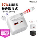 SS限定!6500→2280円★充電器 iPhone16e iphone 充電器 ケーブル 急速充電器 アダプター USB コンセント iphone 充電器 純...