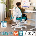 学習椅子 機能的 疲れない 子供 小学生 中学生 新学期 肘付き 足置きリング付き PCチェア 学習チェア おしゃれ 姿勢 撥水 学習チェア 新生活 かわいい ...