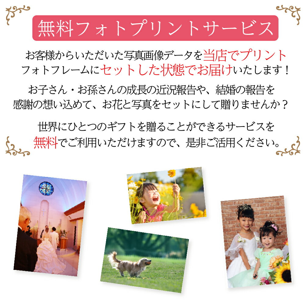 プリザーブドフラワー写真立て結婚祝い『monteモンテ』フォトフレーム結婚記念日卒業祝い退職祝い誕生日プレゼント母の日クリスマスプリザードフラワー写真プリントサービスギフト送料無料