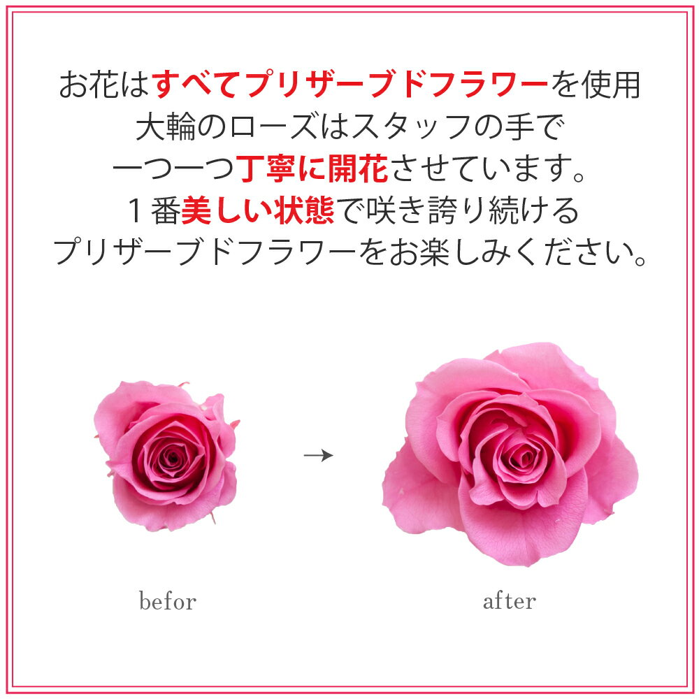 在庫限り プリザーブドフラワー 開業祝い 新築祝い Couleur Douce クルール ドゥース 結婚祝い 結婚記念日 退職祝い 卒業祝い 誕生日プレゼント 還暦祝い 古希祝い 母の日 クリスマス プリ Www Vallmar Com Py 在庫限り プリザーブドフラワー 開業祝い 新築祝い Couleur Douce クルール ドゥース 結婚祝い 結婚記念日 退職祝い 卒業祝い 誕生日プレゼント 還暦祝い 古希祝い 母の日 クリスマス プリ Www Vallmar Com Py
