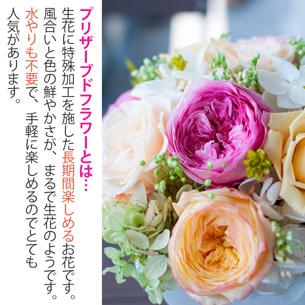 在庫限り プリザーブドフラワー 開業祝い 新築祝い Couleur Douce クルール ドゥース 結婚祝い 結婚記念日 退職祝い 卒業祝い 誕生日プレゼント 還暦祝い 古希祝い 母の日 クリスマス プリ Www Vallmar Com Py 在庫限り プリザーブドフラワー 開業祝い 新築祝い Couleur Douce クルール ドゥース 結婚祝い 結婚記念日 退職祝い 卒業祝い 誕生日プレゼント 還暦祝い 古希祝い 母の日 クリスマス プリ Www Vallmar Com Py