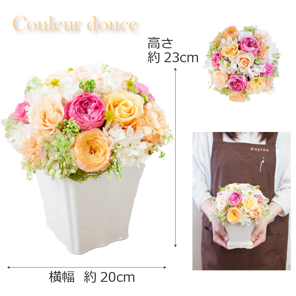 在庫限り プリザーブドフラワー 開業祝い 新築祝い Couleur Douce クルール ドゥース 結婚祝い 結婚記念日 退職祝い 卒業祝い 誕生日プレゼント 還暦祝い 古希祝い 母の日 クリスマス プリ Www Vallmar Com Py 在庫限り プリザーブドフラワー 開業祝い 新築祝い Couleur Douce クルール ドゥース 結婚祝い 結婚記念日 退職祝い 卒業祝い 誕生日プレゼント 還暦祝い 古希祝い 母の日 クリスマス プリ Www Vallmar Com Py