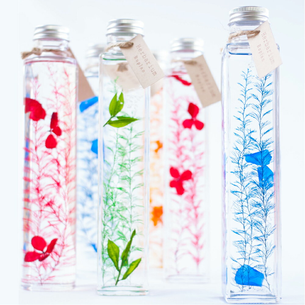 ハーバリウム 誕生日 プレゼント ギフト 『herbarium ハーバリウム』 結婚祝い 結婚記念日 開店祝い 開業祝い 新築祝い 卒業祝い 退職祝い 母の日 プリザーブドフラワー プリザードフラワー バレンタイン 送料無料格安通販　バレンタイン　人気　ランキング