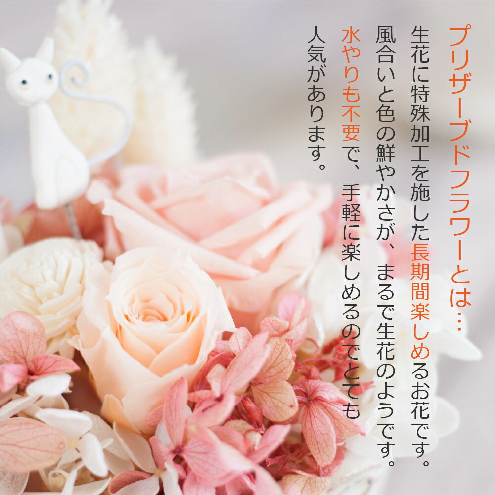 プリザーブドフラワー 猫 雑貨 ギフト 『minette ミネット 猫』 誕生日 結婚祝い 開店祝い お見舞い ブリザードフラワー アレンジメント 母の日 贈り物 送料無料