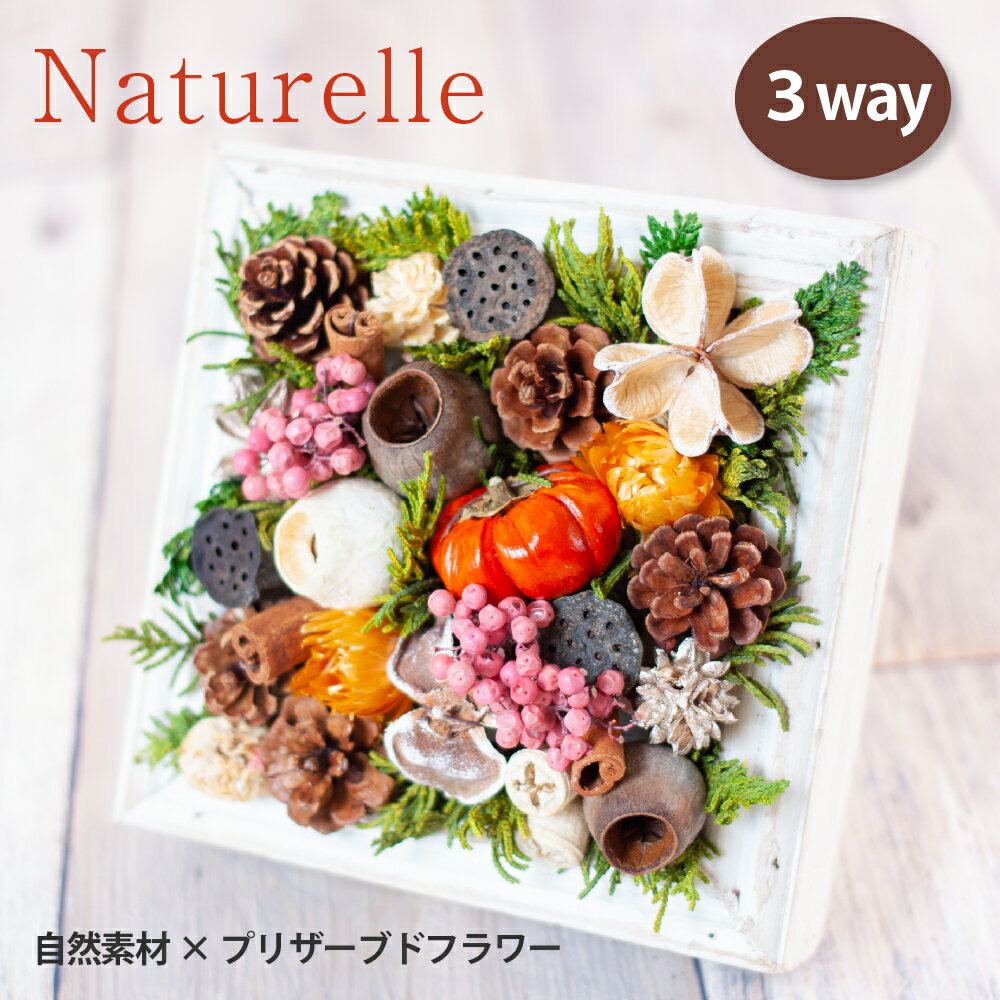プリザーブドフラワー フレーム 壁掛け 天然植物 ギフト 【naturelles ナテュレル】 敬老の日 プレゼント 退職祝い 卒業祝い ハロウィン かぼちゃ 開店祝い 開業祝い 新築祝い 誕生日 プリザードフラワー 送料無料