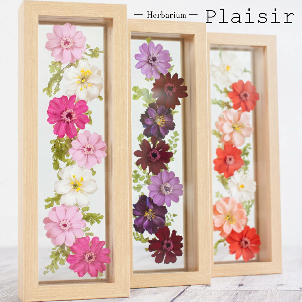 プリザーブドフラワー ハーバリウム 『plaisir プレズィール』 結婚祝い 結婚記念日 開店祝い 開業祝い 新築祝い 卒業祝い 退職祝い 母の日 プリザードフラワー プレゼント ギフト バレンタイン 送料無料