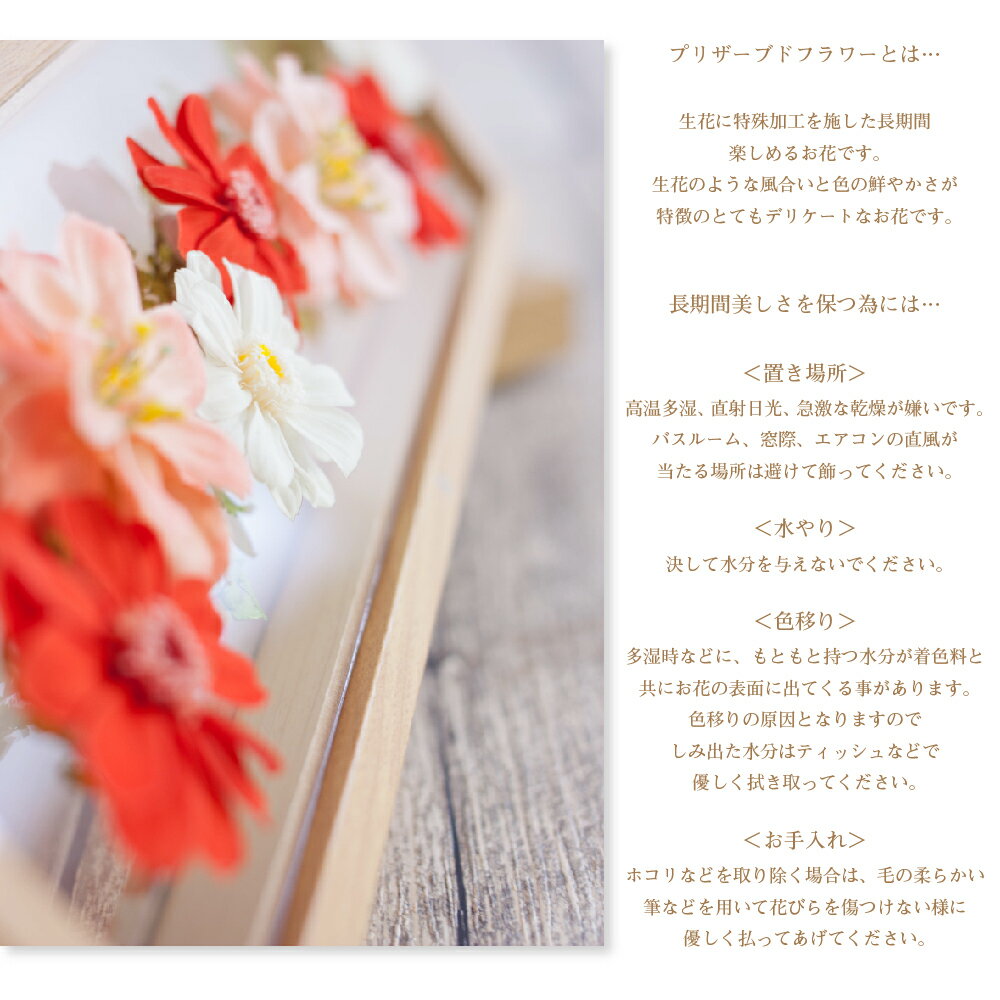 プリザーブドフラワー ハーバリウム 『plaisir プレズィール』 結婚祝い 結婚記念日 開店祝い 開業祝い 新築祝い 卒業祝い 退職祝い 母の日 プリザードフラワー プレゼント ギフト バレンタイン 送料無料格安通販　バレンタイン　人気　ランキング