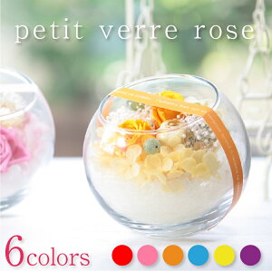 プリザーブドフラワー 誕生日 プレゼント 『プチヴェールローズ』 ガラス 結婚祝い 結婚記念日 卒業祝い 退職祝い 母の日 プリザードフラワー ギフト バレンタイン 送料無料