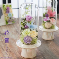 https://thumbnail.image.rakuten.co.jp/@0_mall/ruplan/cabinet/shohin-photo/preserved-flower/pf-kanon.jpg