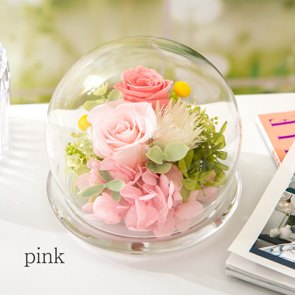 楽天市場】プリザーブドフラワー ガラスドーム（カラーピンク）（花
