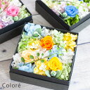 プリザーブドフラワー ギフト Ruplan フラワーボックス プリザーブドフラワー ボックス ギフト 【colore カラフル】 母の日 プレゼント 退職祝い 卒業祝い 結婚祝い 結婚記念日 誕生日 開店祝い 周年 新築祝い プリザードフラワー 送料無料