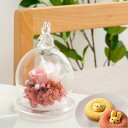プリザーブドフラワー スイーツ ギフト ガラスドーム ミニ 【シュシュラパン スイーツセット】 友だち 誕生日 うさぎ 雑貨 かわいい 母親 妻 女性 開店祝い 結婚祝い 退職祝い 卒業祝い 周年祝い 記念日 お祝い 花 プレゼント ブリザードフラワー メッセージカード