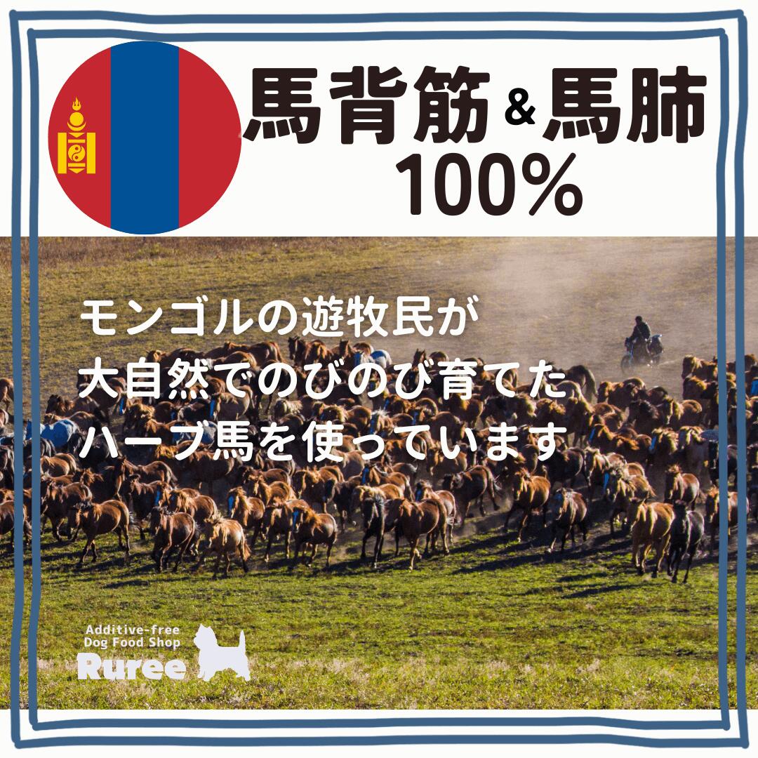 【サクサクコリコリ二重食感コラーゲン馬ラング背筋】馬ラング巻背筋スティック【犬 馬肉 ラング コラーゲン シニア 食感 モンゴル】 ruree-10000010 ドッグフード専門店 Ruree サンプル画像2