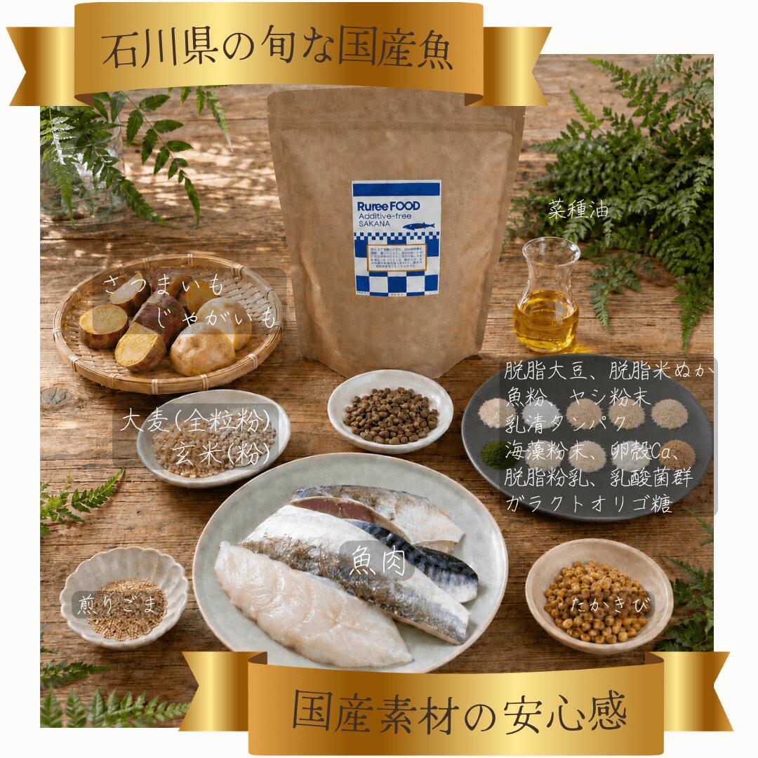 【石川県旬の国産魚シニアにも優しいお試しサイズ】Ruree's Food≪SAKANA≫ 100g【犬 ドッグフード 魚 国産 シニア 100g お試し】 ruree-10000065 ドッグフード専門店 Ruree サンプル画像3