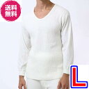 【送料無料】ひだまり 極 紳士長袖U首シャツ L《きわみ、KW902、あったか 下着、暖かい 下着、暖かい肌着、温かいインナー、下着、防寒、寒さ、冷え症。抗菌消臭キュートリー 》(4)