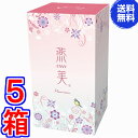 【送料無料】新 燕美(えんび)プレミアム 30包 ×超お得5箱 《10代目リニューアル、W燕の巣食品、プロテオグリカン、ヒアルロン酸、ライチ味》