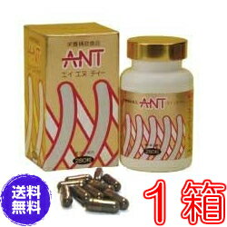 【送料無料】エイエヌティ（ANT）《ミネラル、蟻、ふしぶし、アリ加工食品、エイ・エヌ・ティー、人気マンガ家の里中…