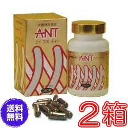 【送料無料】エイエヌティ（ANT）　×お得2箱セット【代引料無料】《ミネラル、蟻、ふしぶし、アリ加工食品、エイ・エ…