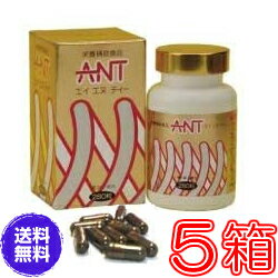 【送料無料】エイエヌティ（ANT）　×超お得5箱セット《ミネラル、蟻、ふしぶし、アリ加工食品、エイ・エヌ・ティー、人気マンガ家の里中満智子先生も長年愛用》