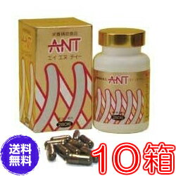 【送料無料】エイエヌティ（ANT）　×超お得10箱セット　【代引料無料】《ミネラル、蟻、ふしぶし、アリ加工食品、エ…