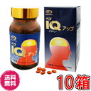 ペプIQアップ 150粒 ×超お得10箱セット【送料無料】《記憶・思考、DHA、EPA》