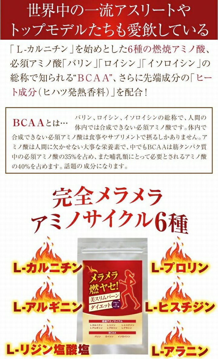 ※訳あり 賞味期限 2021年1月31日【送料無料　ポスト投函】メラメラ燃ヤセ！美スリムバーンダイエット　《1袋270粒、アサイー＆ベリー味、L-カルニチン、ヒハツ、カプサイシン、ショウガ》