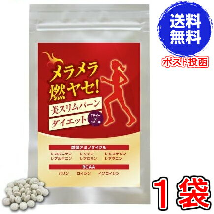 ※訳あり 賞味期限 2021年1月31日【送料無料　ポスト投函】メラメラ燃ヤセ！美スリムバーンダイエット　《1袋270粒、アサイー＆ベリー味、L-カルニチン、ヒハツ、カプサイシン、ショウガ》