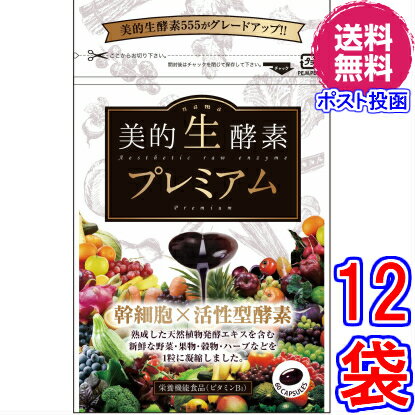 【送料無料】美的生酵素プレミアム ×超お得12袋 《60粒、「酵素女神　生酵素プレミアム」と中身同じ、幹細胞、活性型酵素、メガザイム7、ダイジェザイム 、酵素女神　生酵素プレミアム、酵素ダイエット、マイクロ、酵素女神　生酵素555》