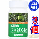 【送料無料】高濃度じゃばら粒 60カプセル ×お得3個《ナリルチン、幻の果実、和歌山県、北山村、ラメール、ジャバラ》(4)