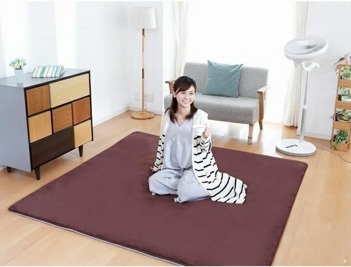 電気ホットカーペット ZC-30PB 3畳タイプ(カバー「ブラウン色」付き)　【送料無料Z】《ZC-31Kが名前だ..