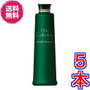 【送料無料】大高酵素 エンリッチシャンプー 300ml ×超お得5本《ヘーラーコレクション Hela Collection enrich shampoo》